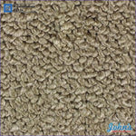 Carpet For 2Door All Except Cars With 4 Speed Bench Seat- Gm Licensed (O/s$5) Chevelle / Fawn A