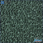 Carpet (O/s$5) Camaro 1967 / Dark Green 517 F1